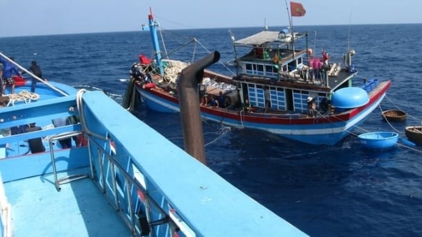 Paying dearly for violating IUU fishing: Taking a risk once, regretting all the life